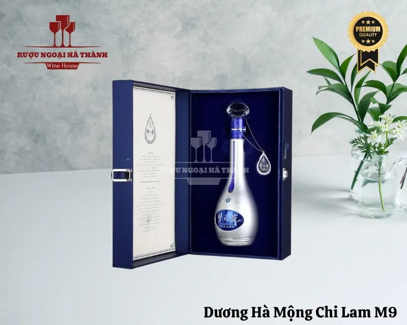 duong-ha-mong-chi-lam-m9