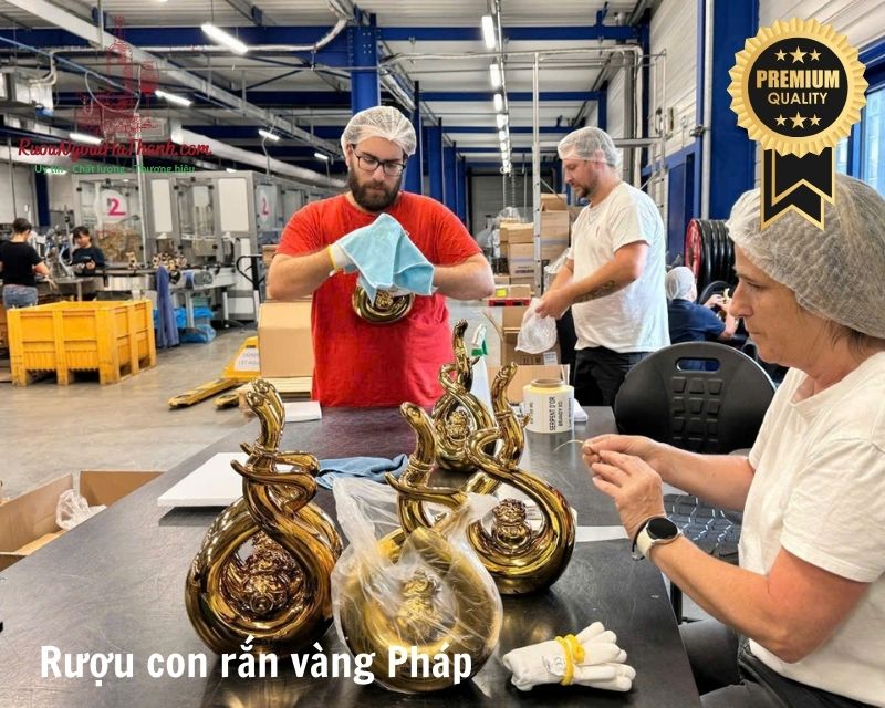 Địa Chỉ Bán Rượu Con Rắn Vàng Serpents D’or XO Pháp 2025